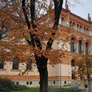8 musei di Milano da visitare