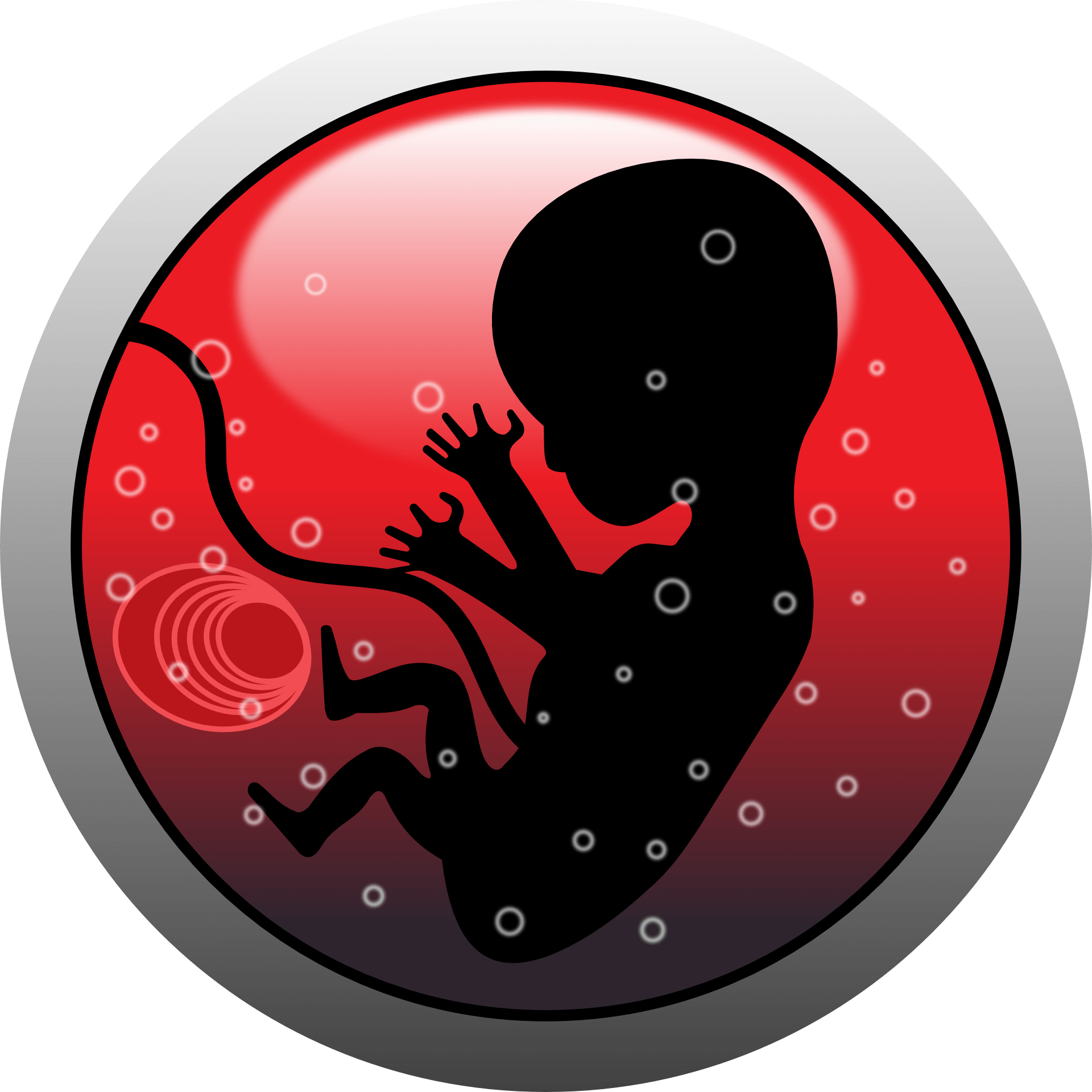 embrione pix