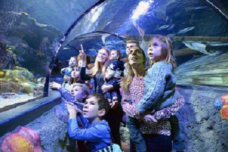gardaland aquarium