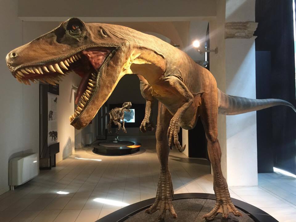 mostra-padova-dinosauri-giganti-dall-argentina-tiziana-leopizzi
