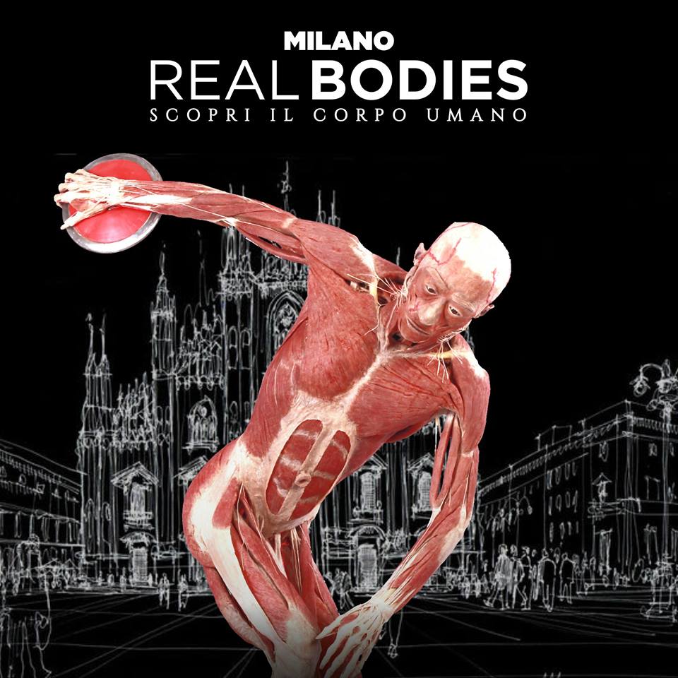 real bodies