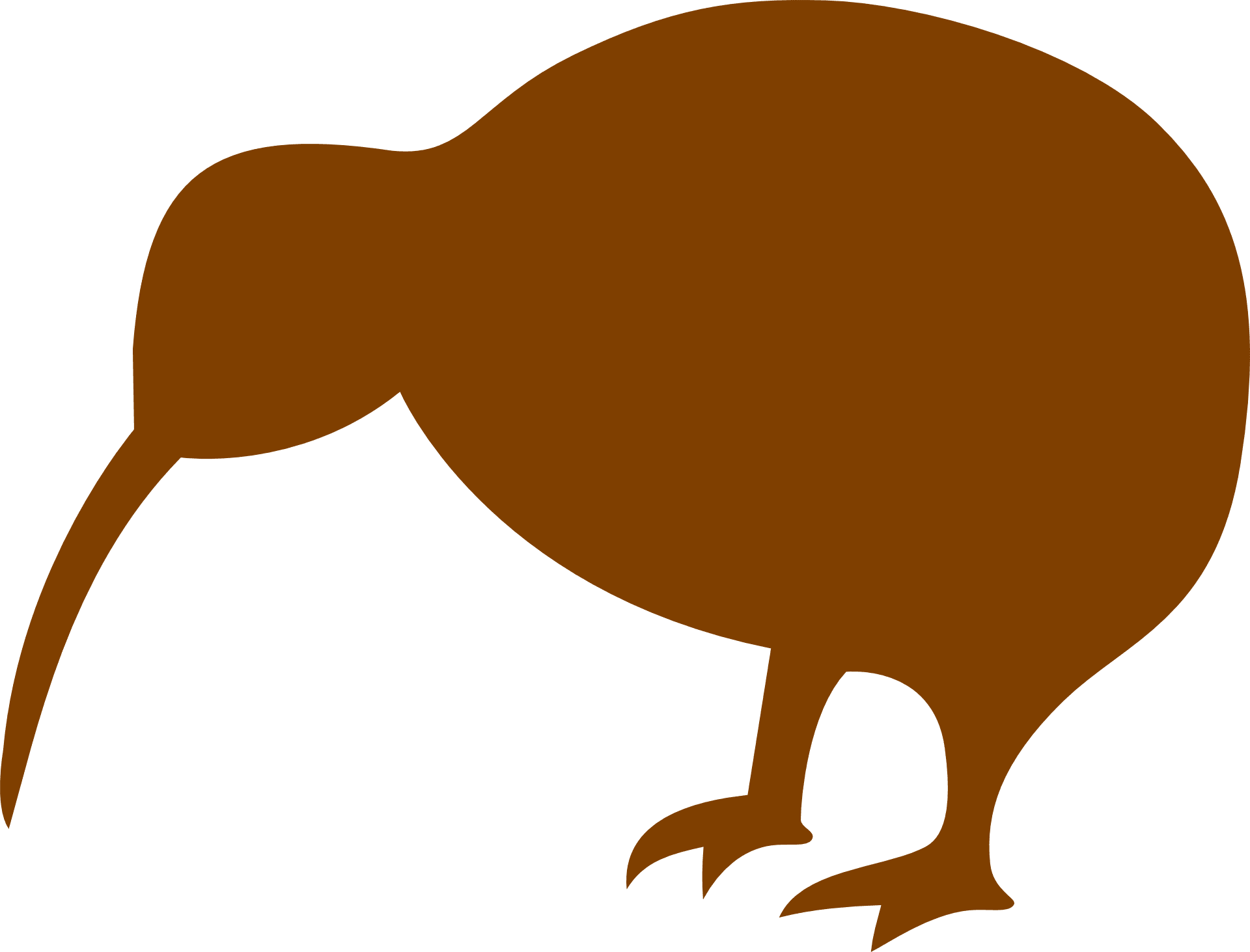 kiwi animale simbolo nuova zelanda