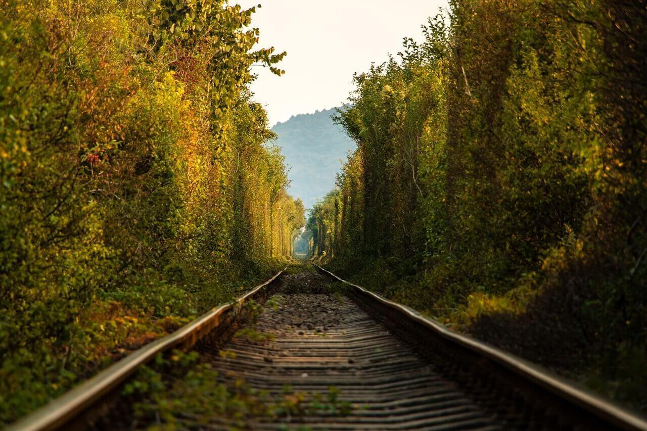 treno-foliage-pixabay