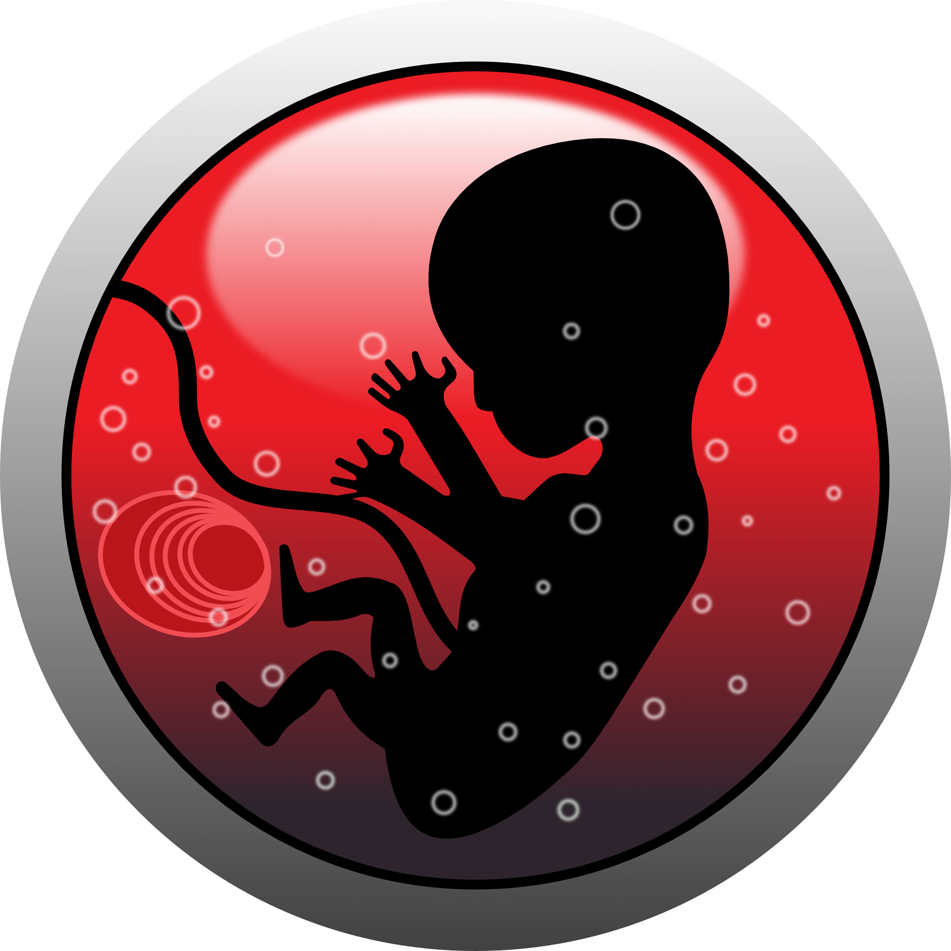 embrione bambini